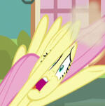 Fluttershy